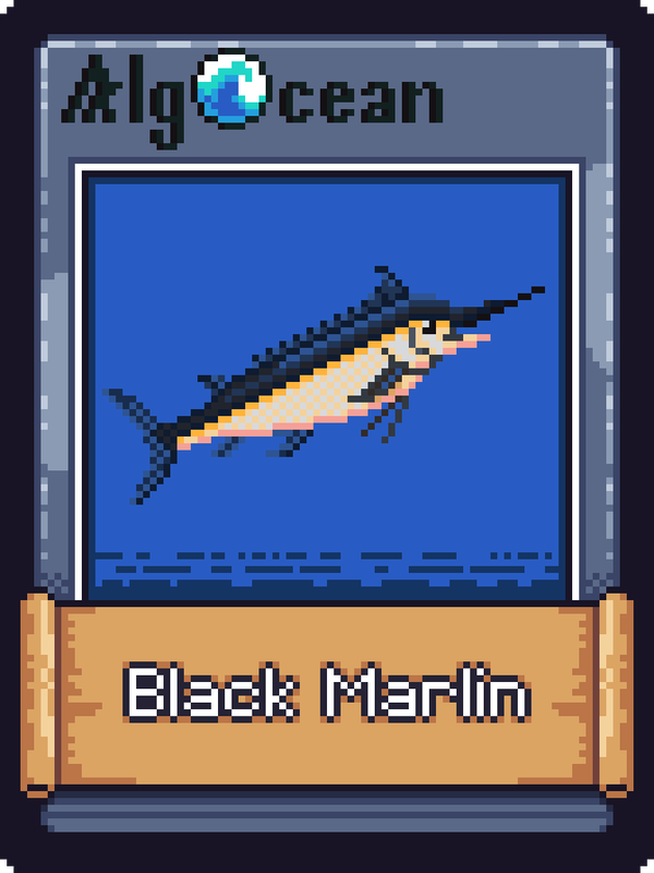 An image of Black Marlin