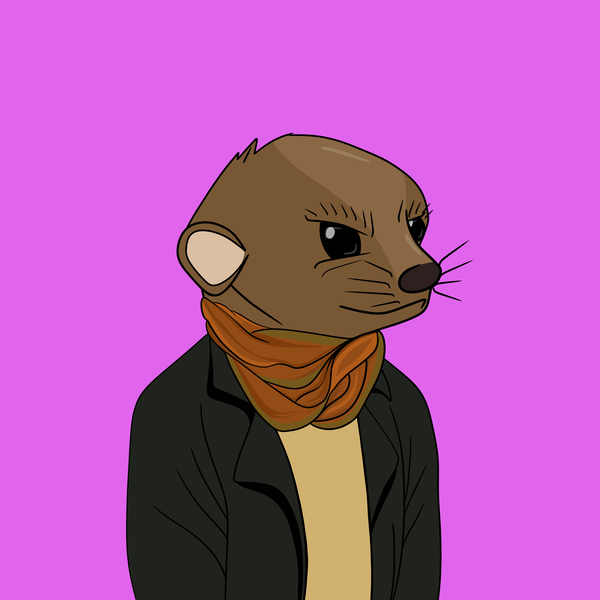 Image of Lil Meerkat #082