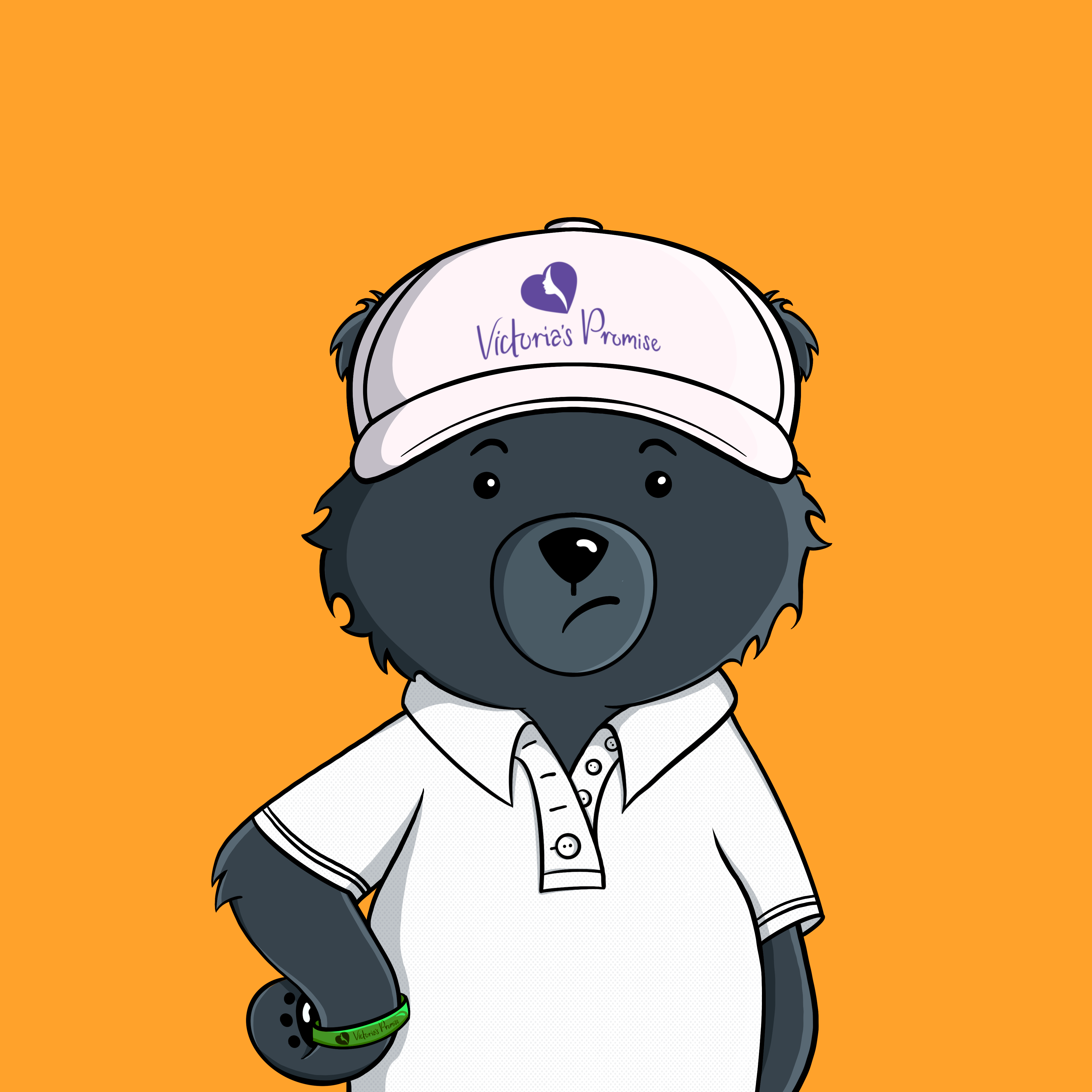 Promise Bears #0897 NFT on Algorand
