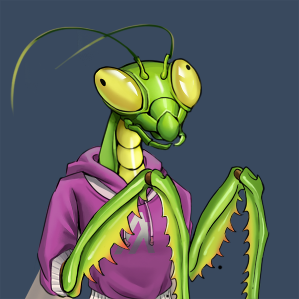 Image of Mantis #562