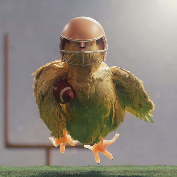 Image of Football Chick