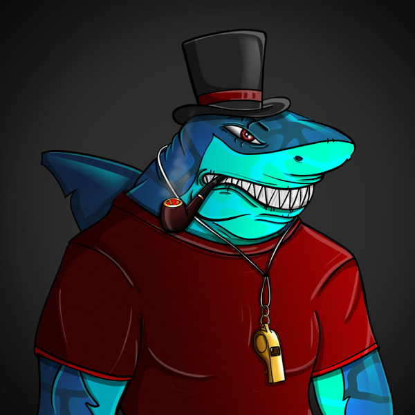 Image of AlgoShark #764