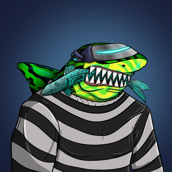 Image of AlgoShark #56