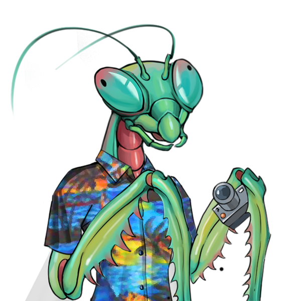 An image of Mantis #569