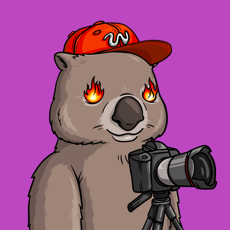 Image of Wildlife Warrior Wombat #37