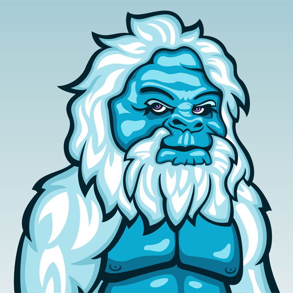 An image of Algo Yeti 001