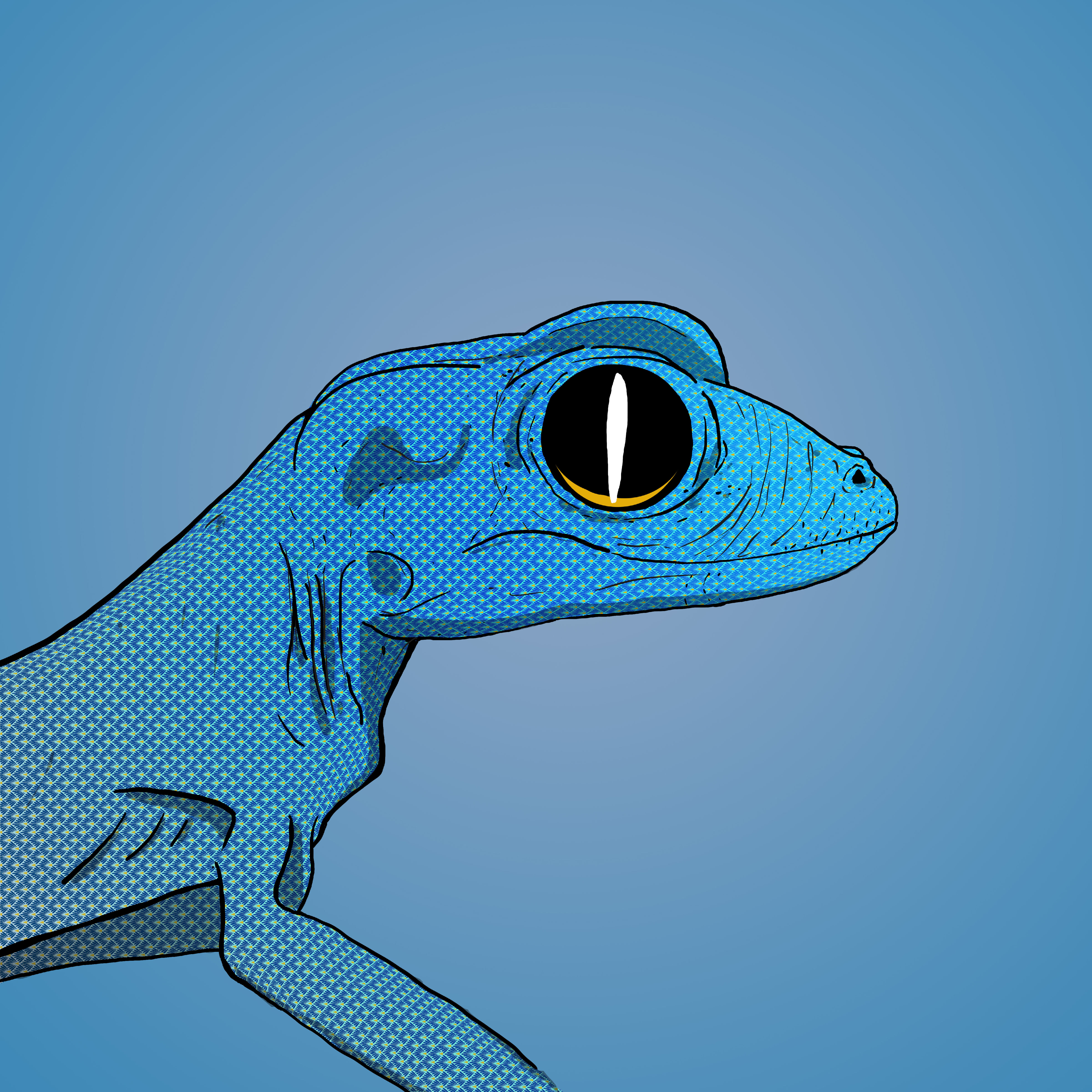 Geko 0041 NFT on Algorand
