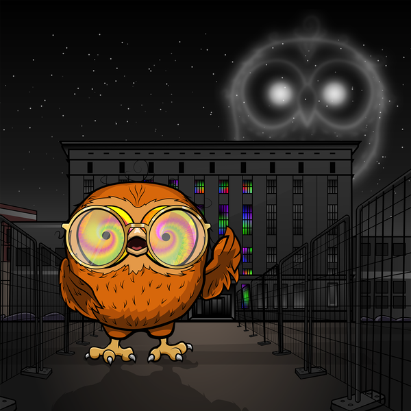 Image of cryptOOwl 054