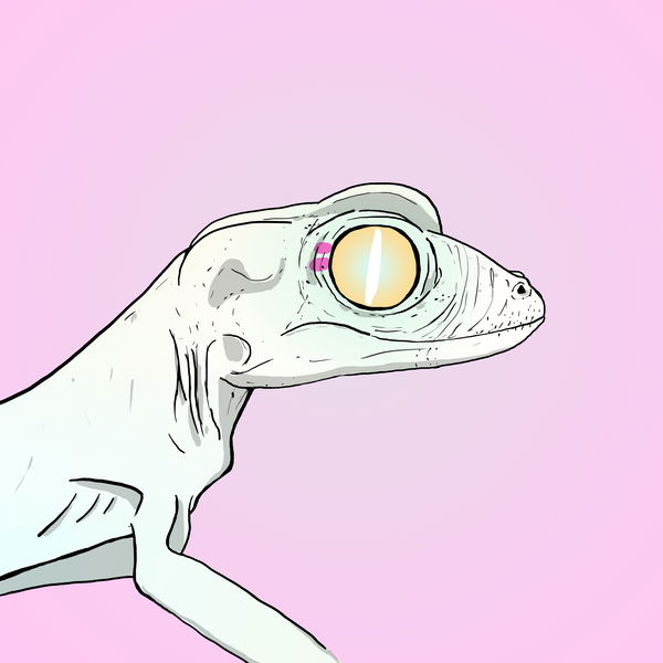 An image of Geko 0023