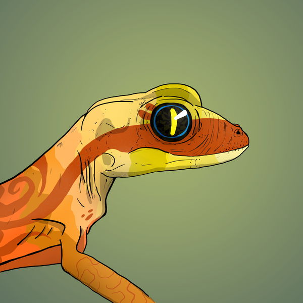 An image of Geko 0070