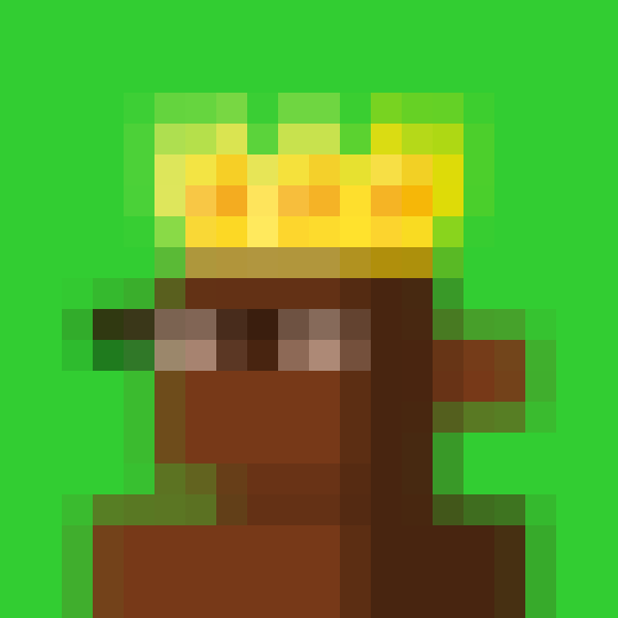 NOOD MONKE 1524 NFT on Algorand