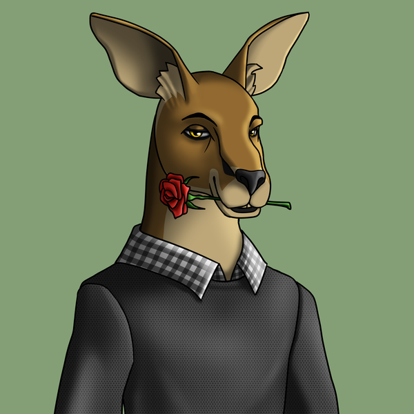 An image of AlgoKangaroo #2