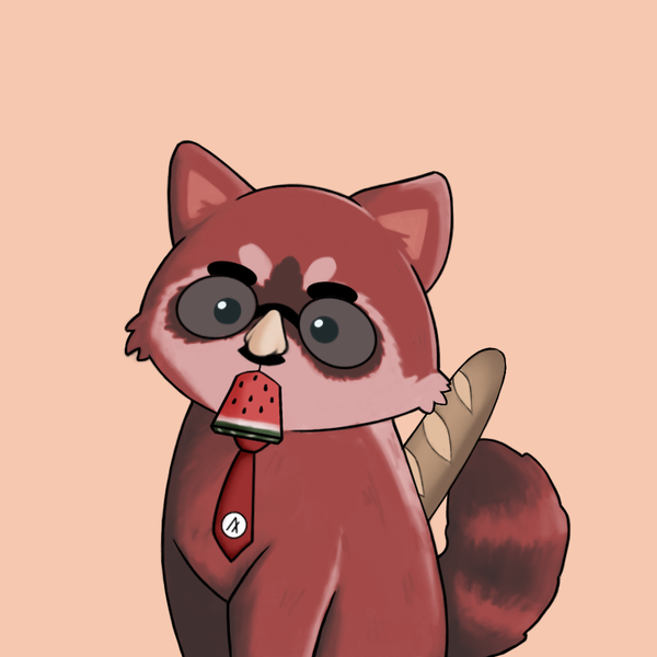 Image of Raccoon #349