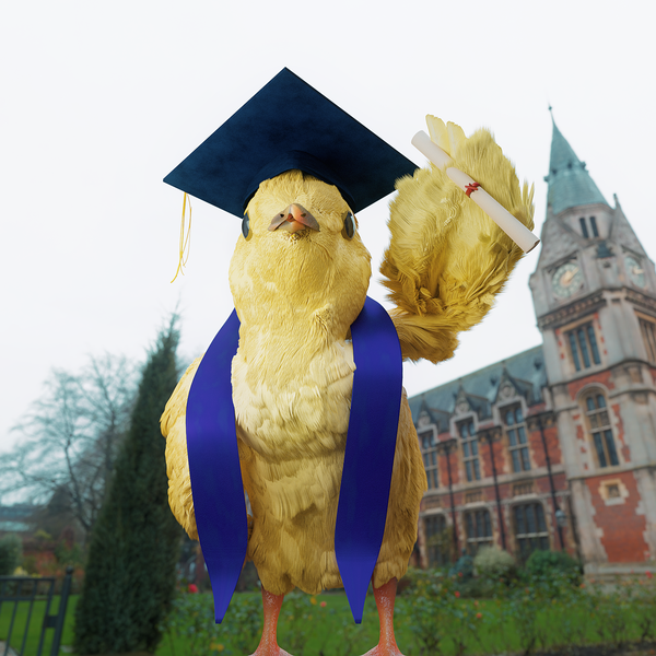 Image of Graduated Chick