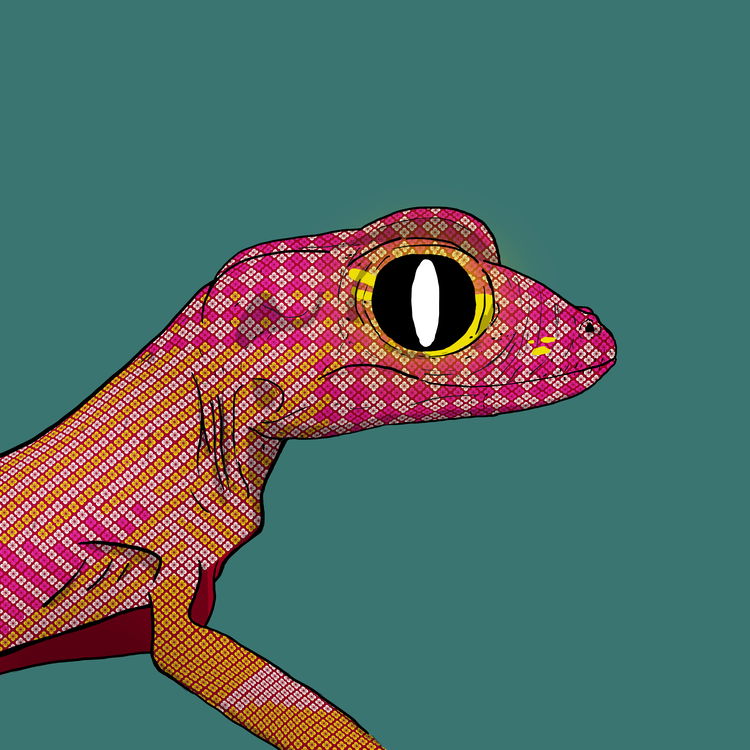 Image of Geko 0046