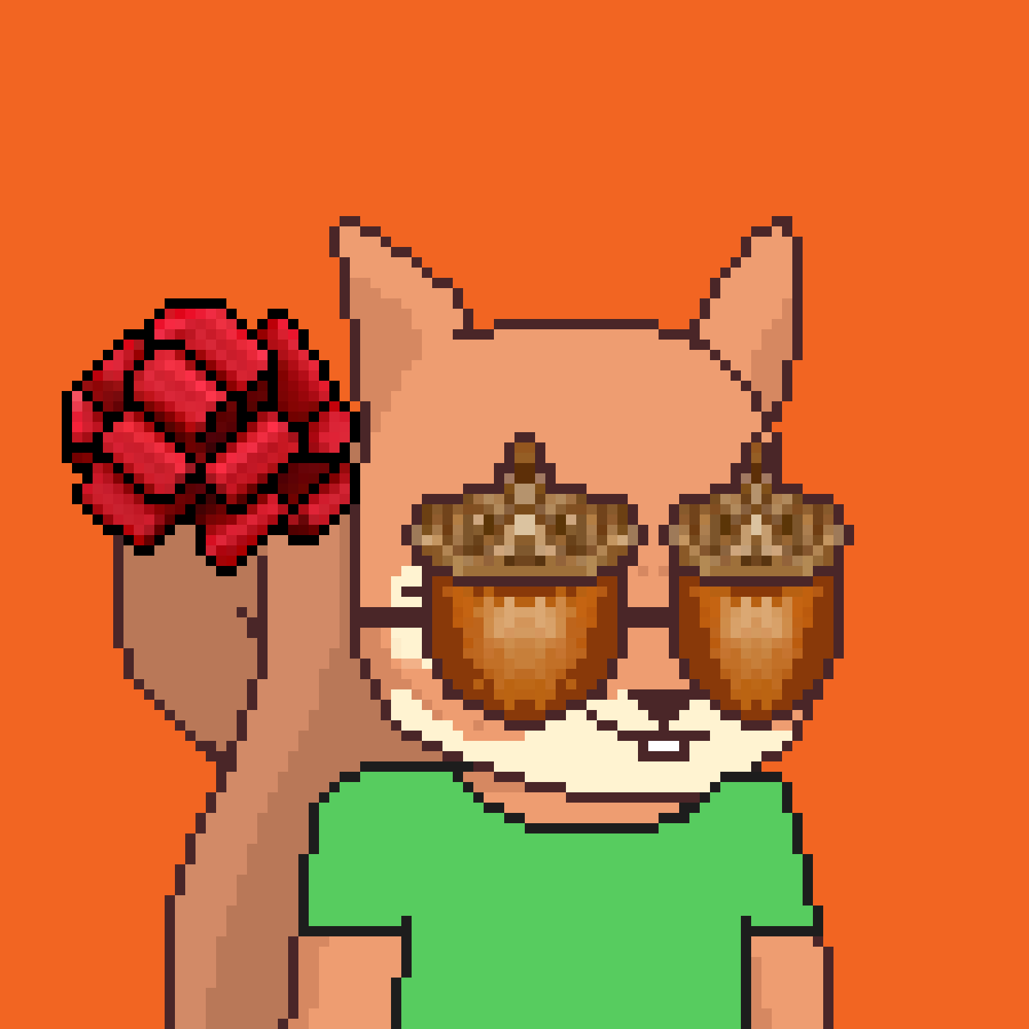 Pixel Squirrels #1466 NFT on Algorand