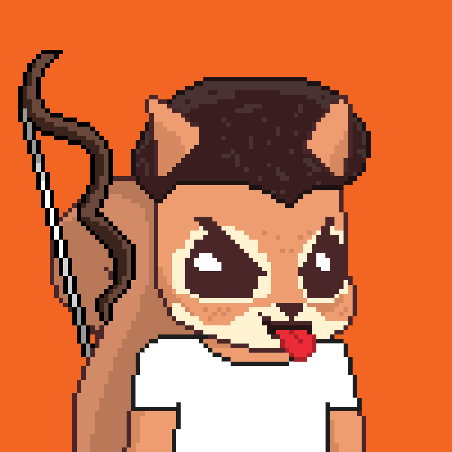 Pixel Squirrels #159 NFT on Algorand