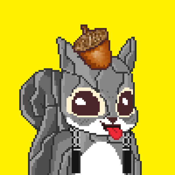 Image of Pixel Squirrels #1602