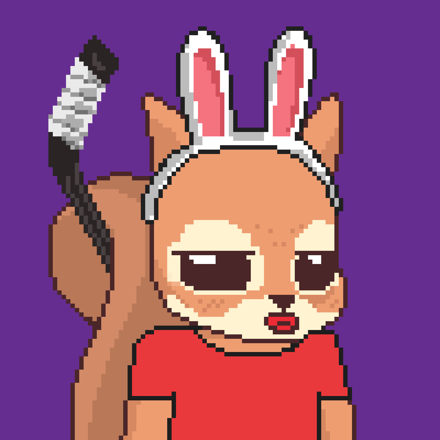 Pixel Squirrels #2663 NFT on Algorand