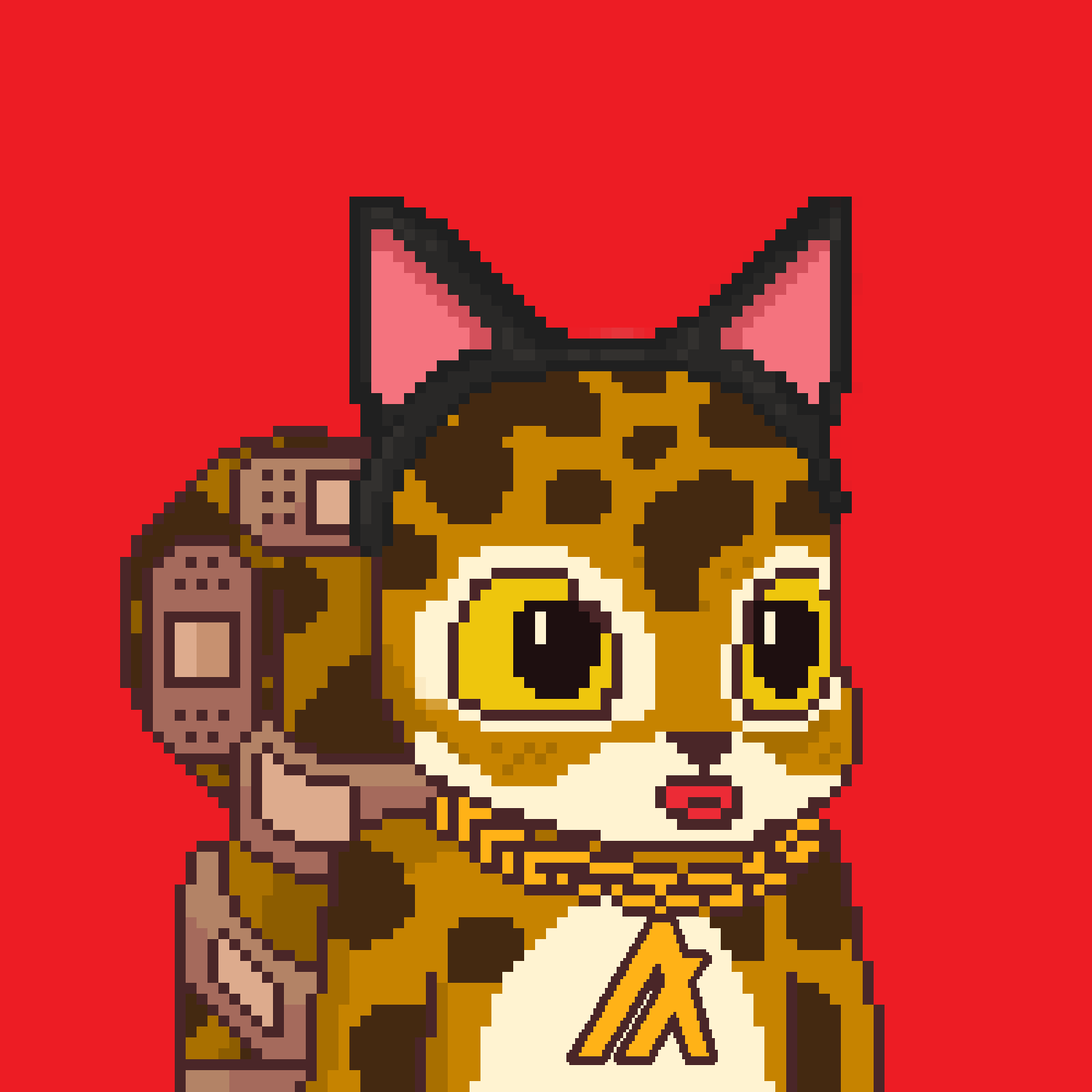 Pixel Squirrels #343 NFT on Algorand