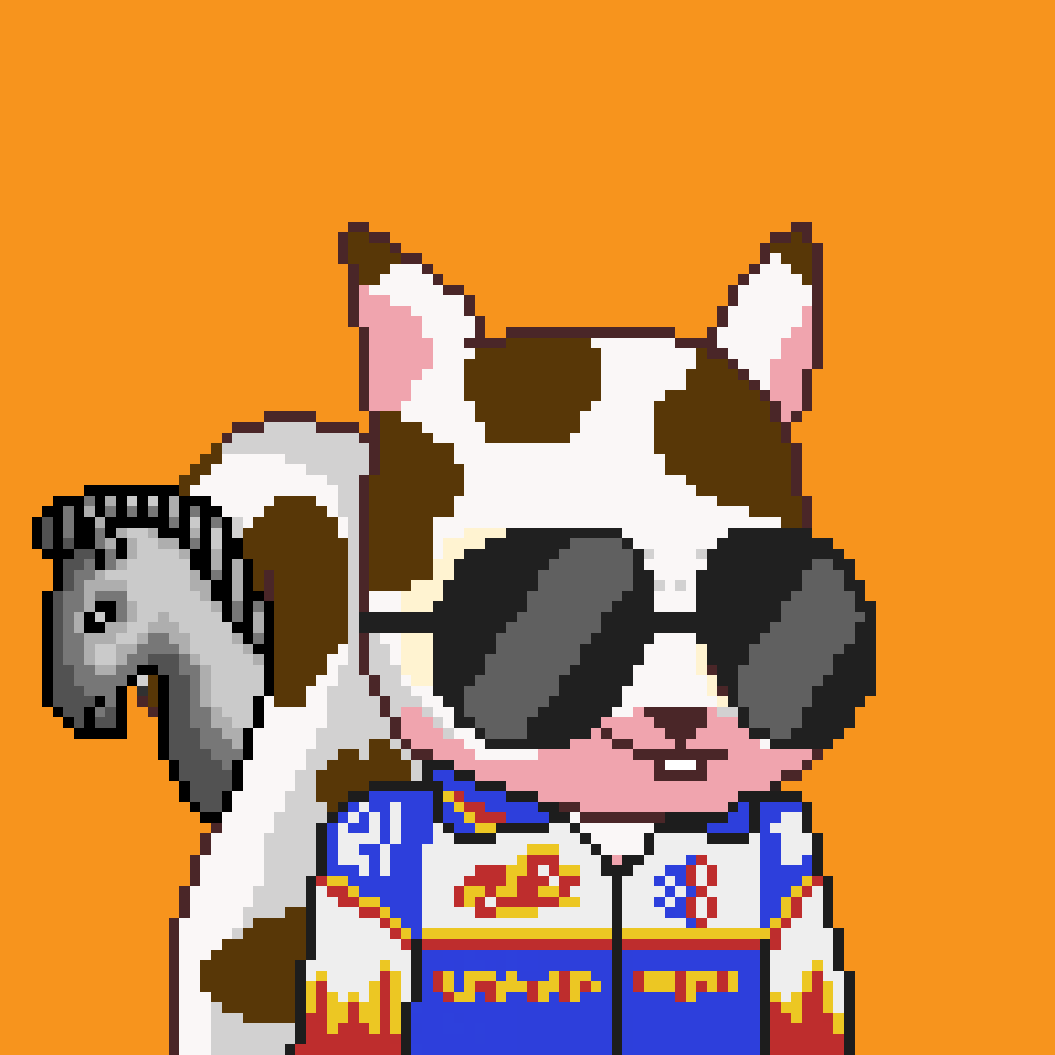 Pixel Squirrels #5043 NFT on Algorand