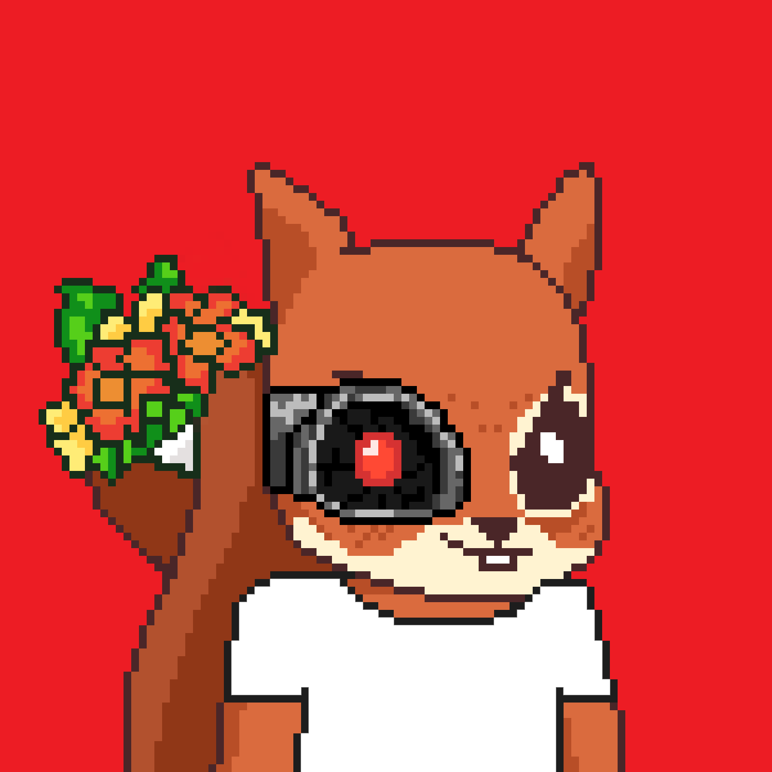 Pixel Squirrels #5556 NFT on Algorand