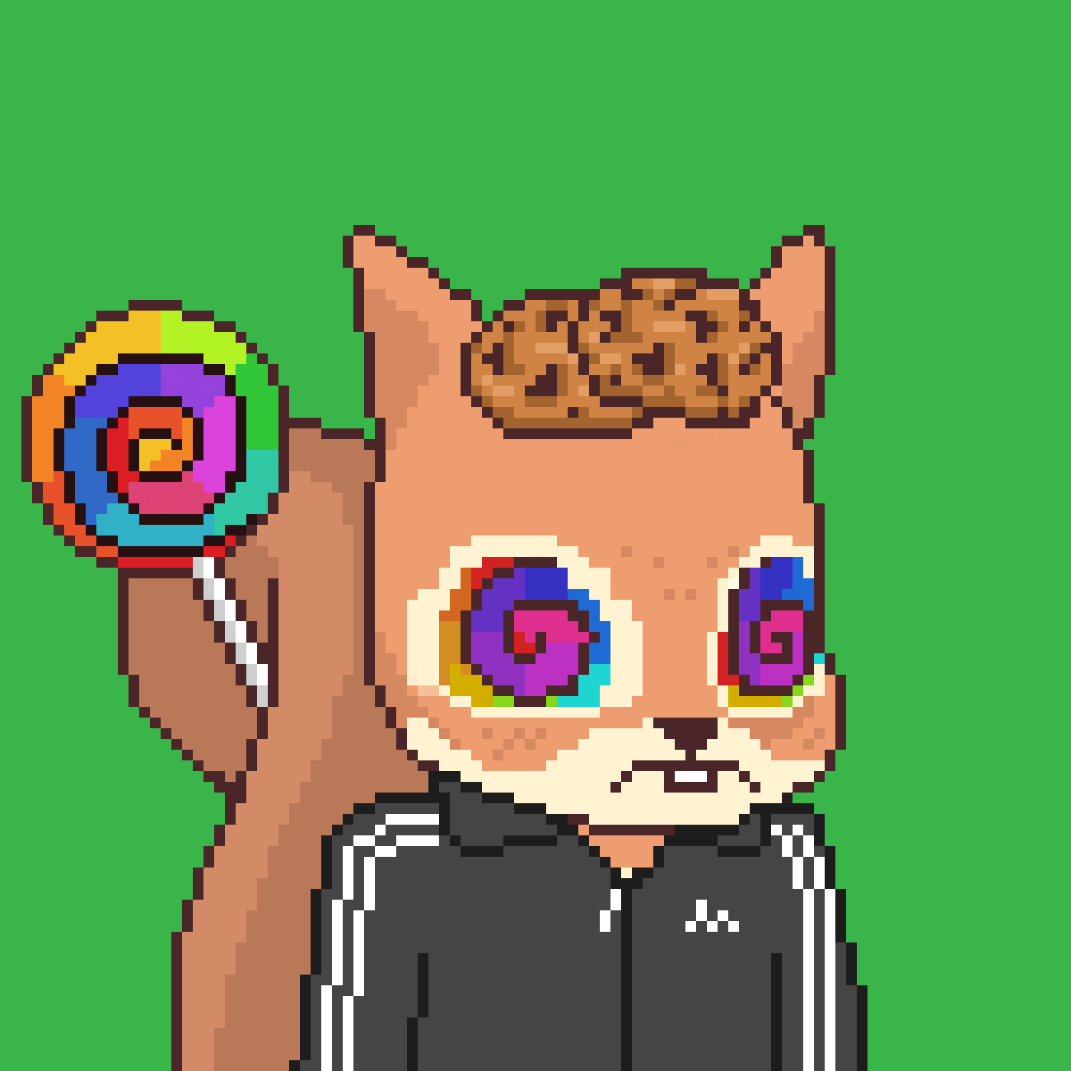 Pixel Squirrels #675 NFT on Algorand