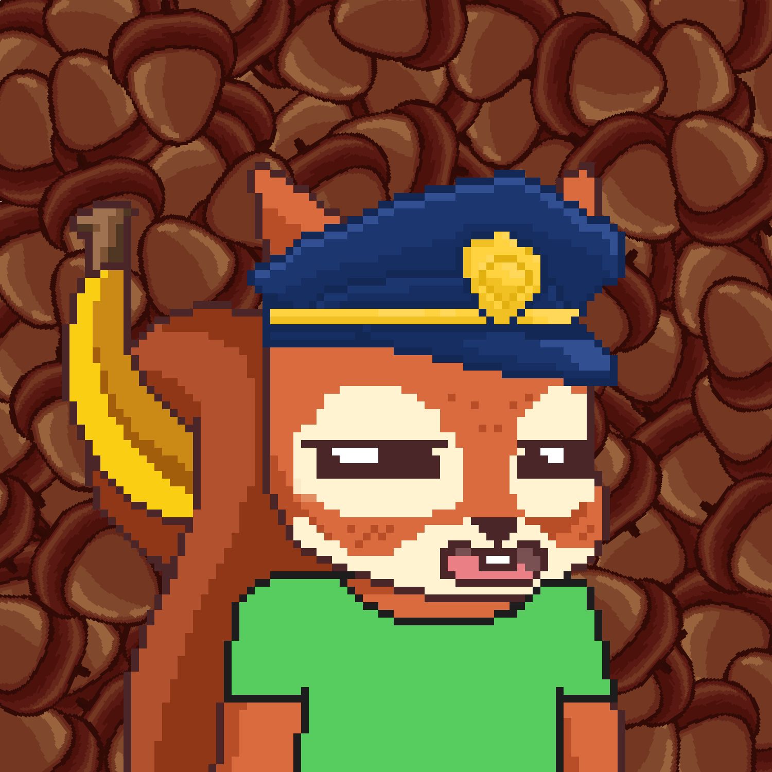 Pixel Squirrels #7668 NFT on Algorand