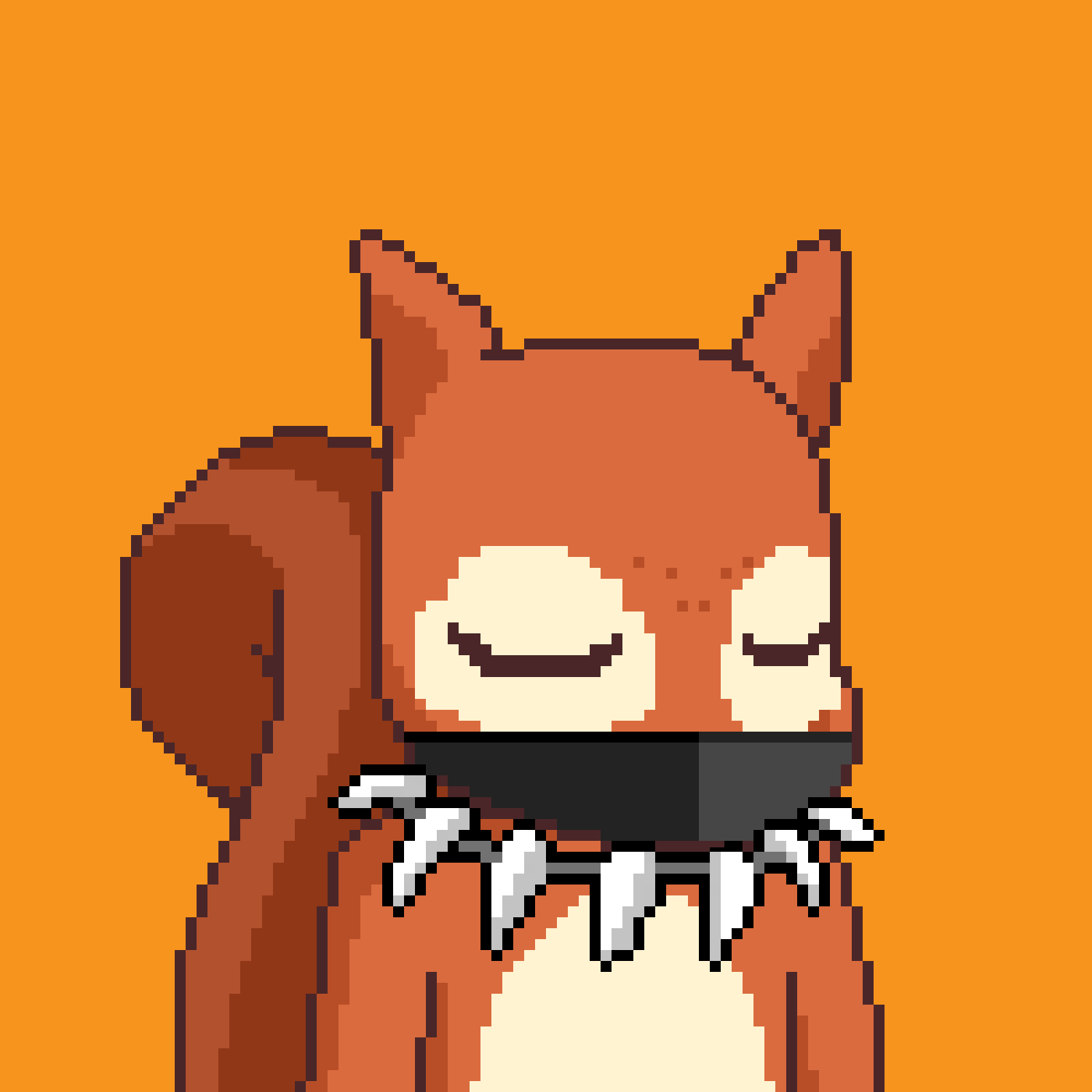 Pixel Squirrels #808 NFT on Algorand
