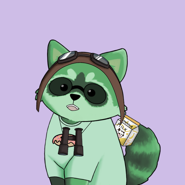 An image of Raccoon #78