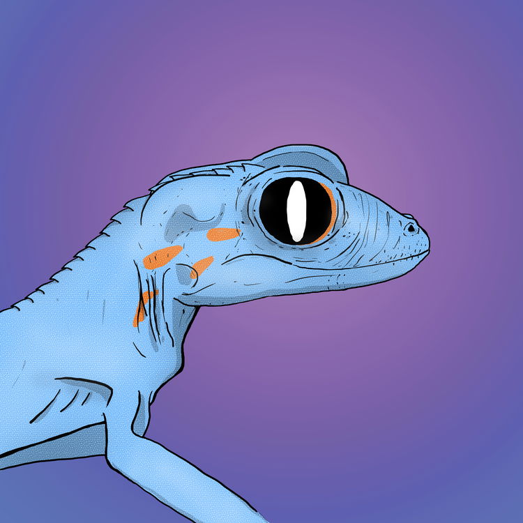 Image of Geko 0025