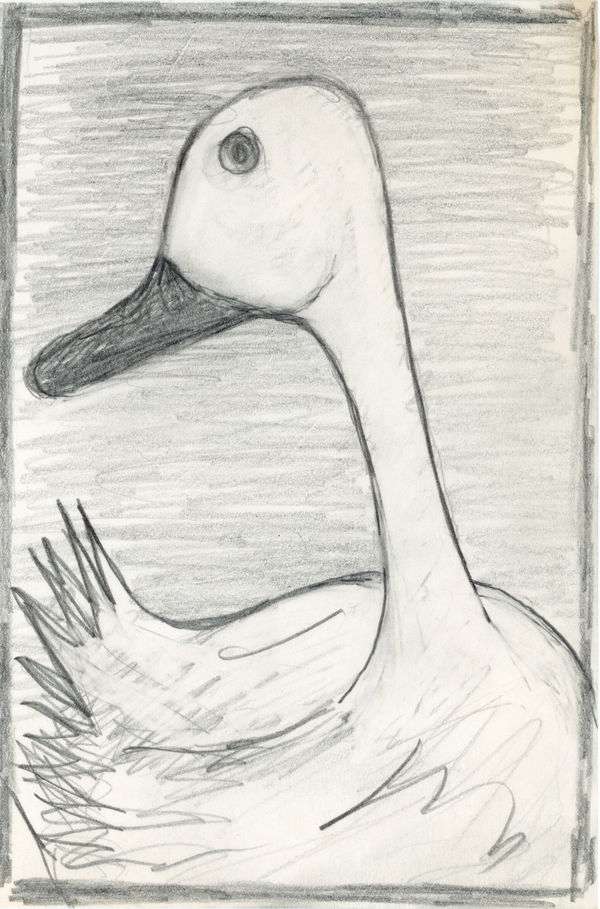 An image of TLoP_Doodle_Duck_36