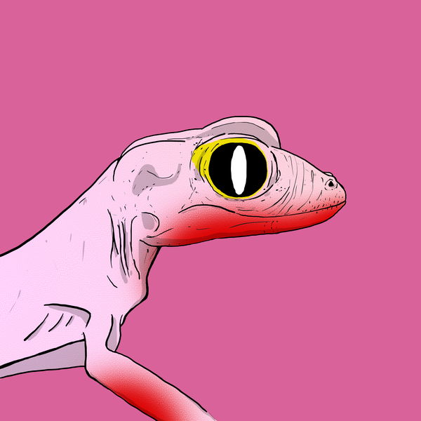 Image of Geko 0047