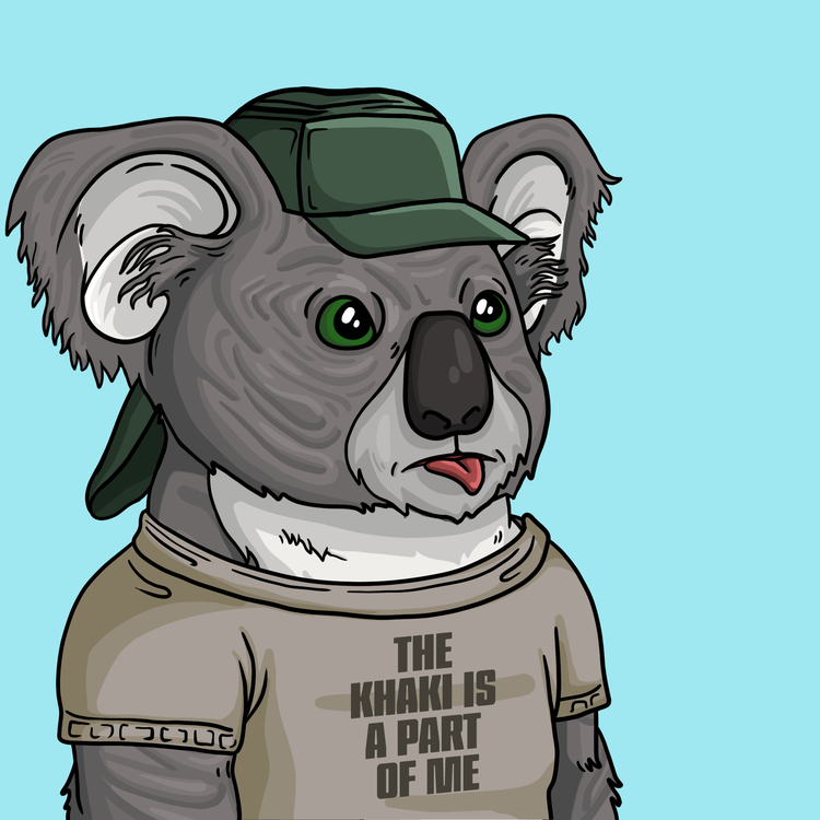 Image of Wildlife Warrior Koala #21