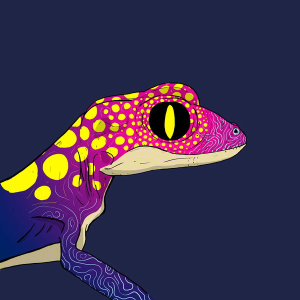 An image of Geko 0016