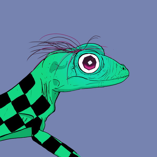 An image of Geko 0012