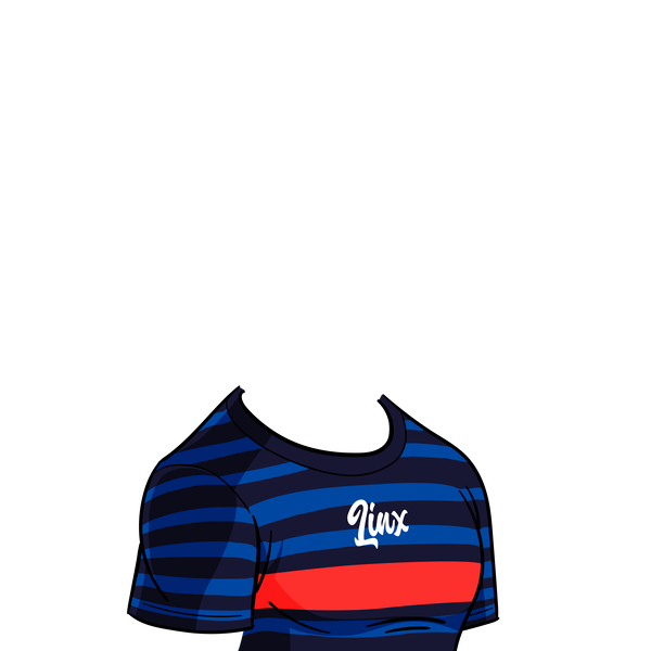 An image of France Jersey