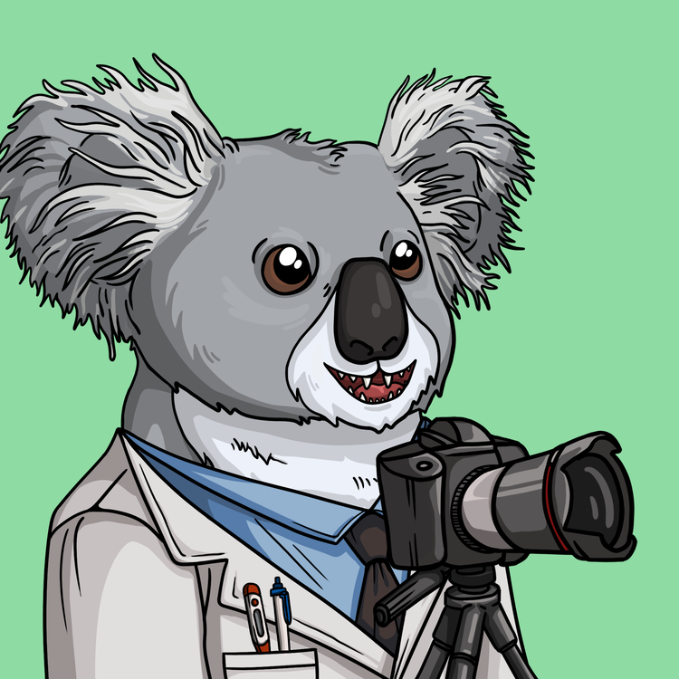 Image of Wildlife Warrior Koala #16