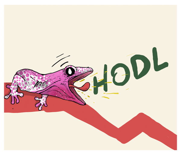 An image of HODL!