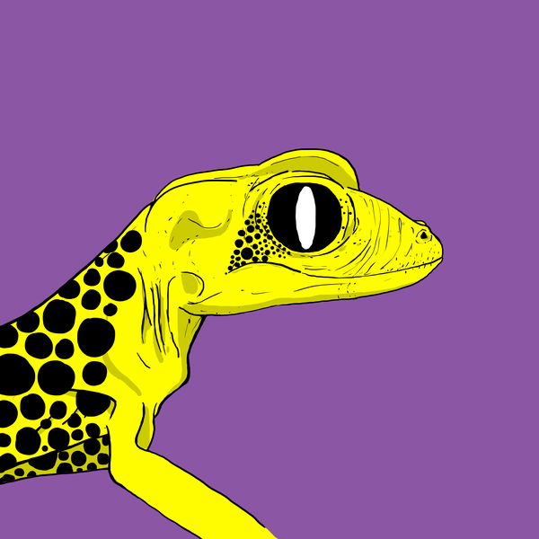 An image of Geko 0001