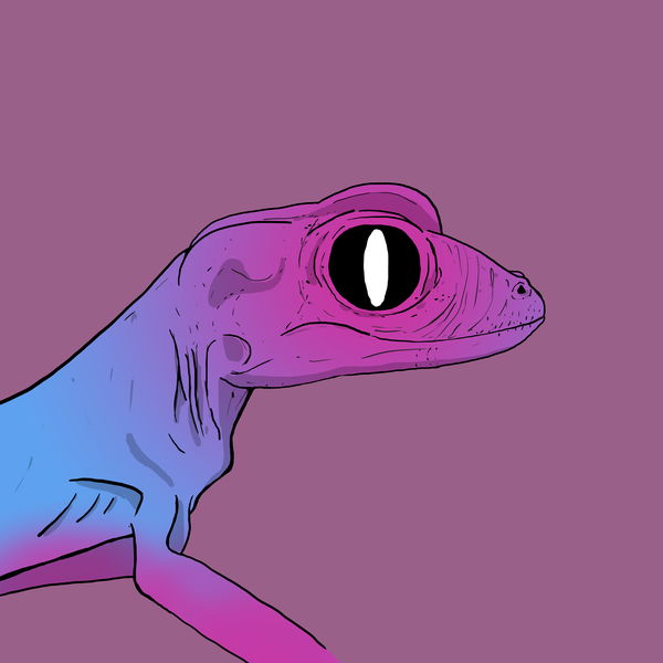 An image of Geko 0004