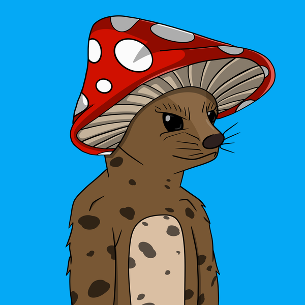 An image of Lil Meerkat #027