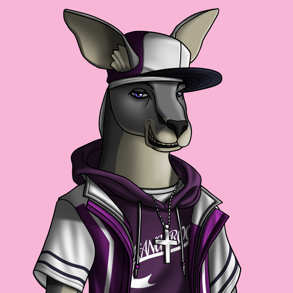 Image of AlgoKangaroo #35