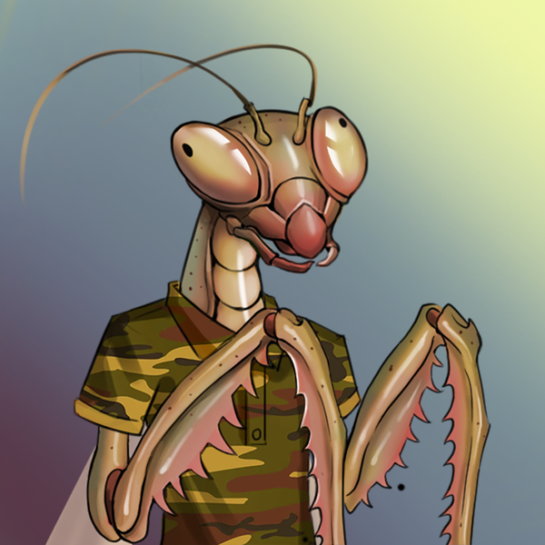 Image of Mantis #643