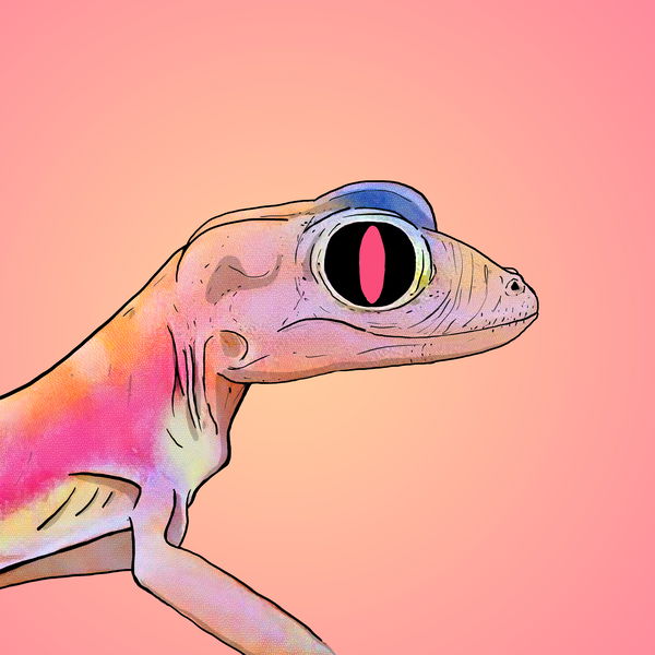 Image of Geko 0049