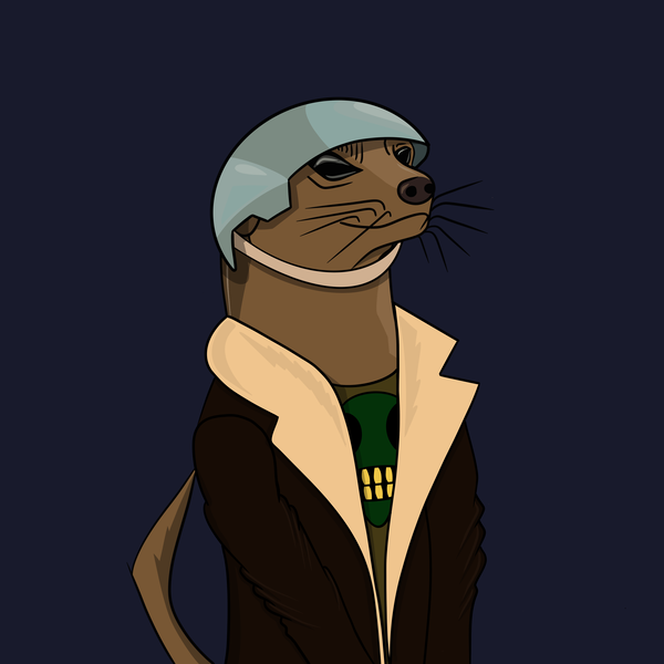 An image of Meerkat #004