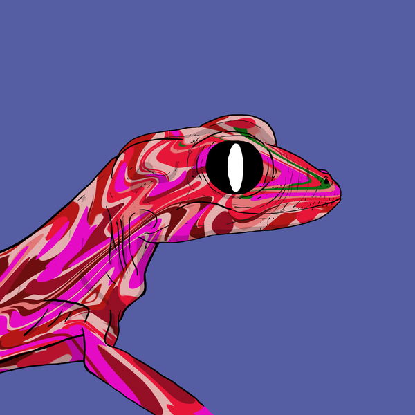 An image of Geko 0003