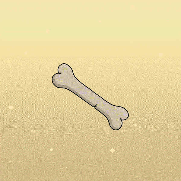 An image of Bone