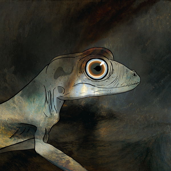 An image of Geko 0019