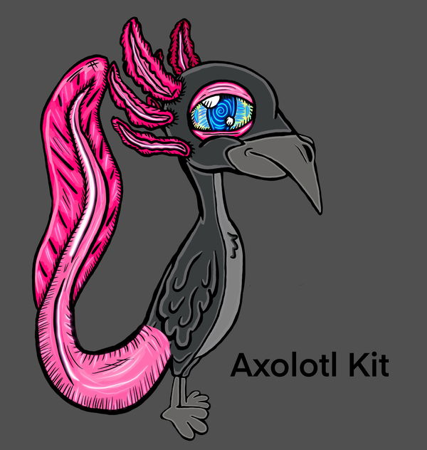 Image of Axolotl Kit